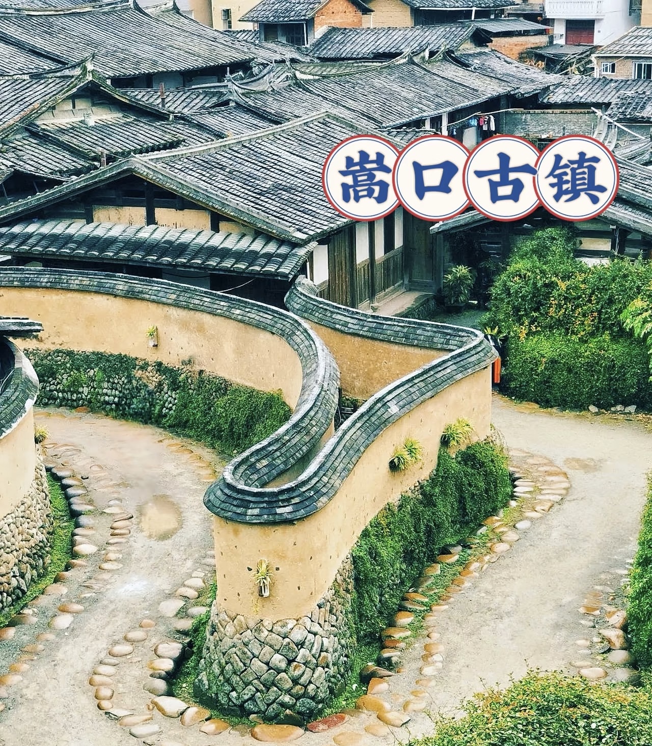 微信圖片_20250512165057